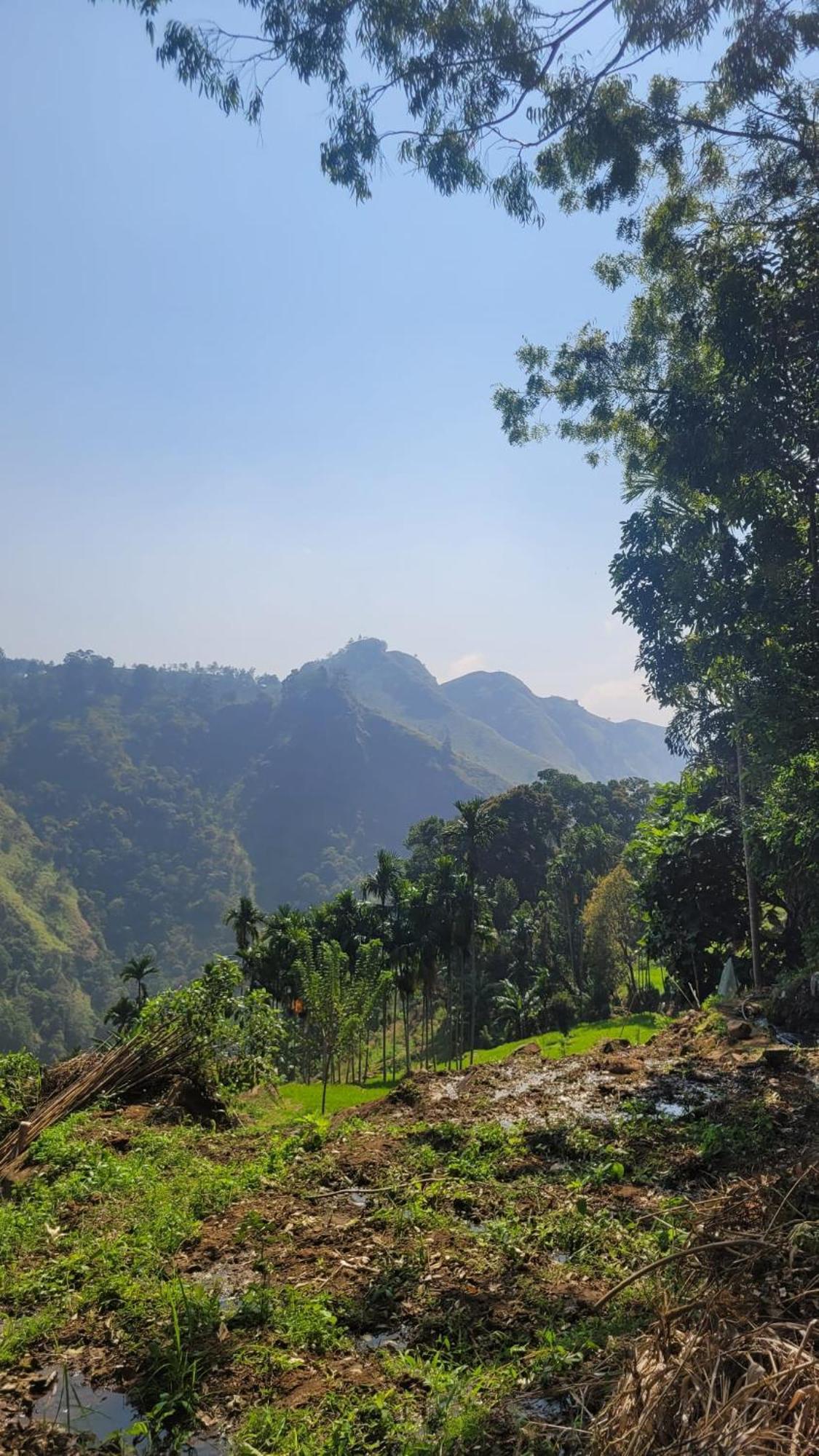 Forest Rawana Homestay Ела Екстериор снимка